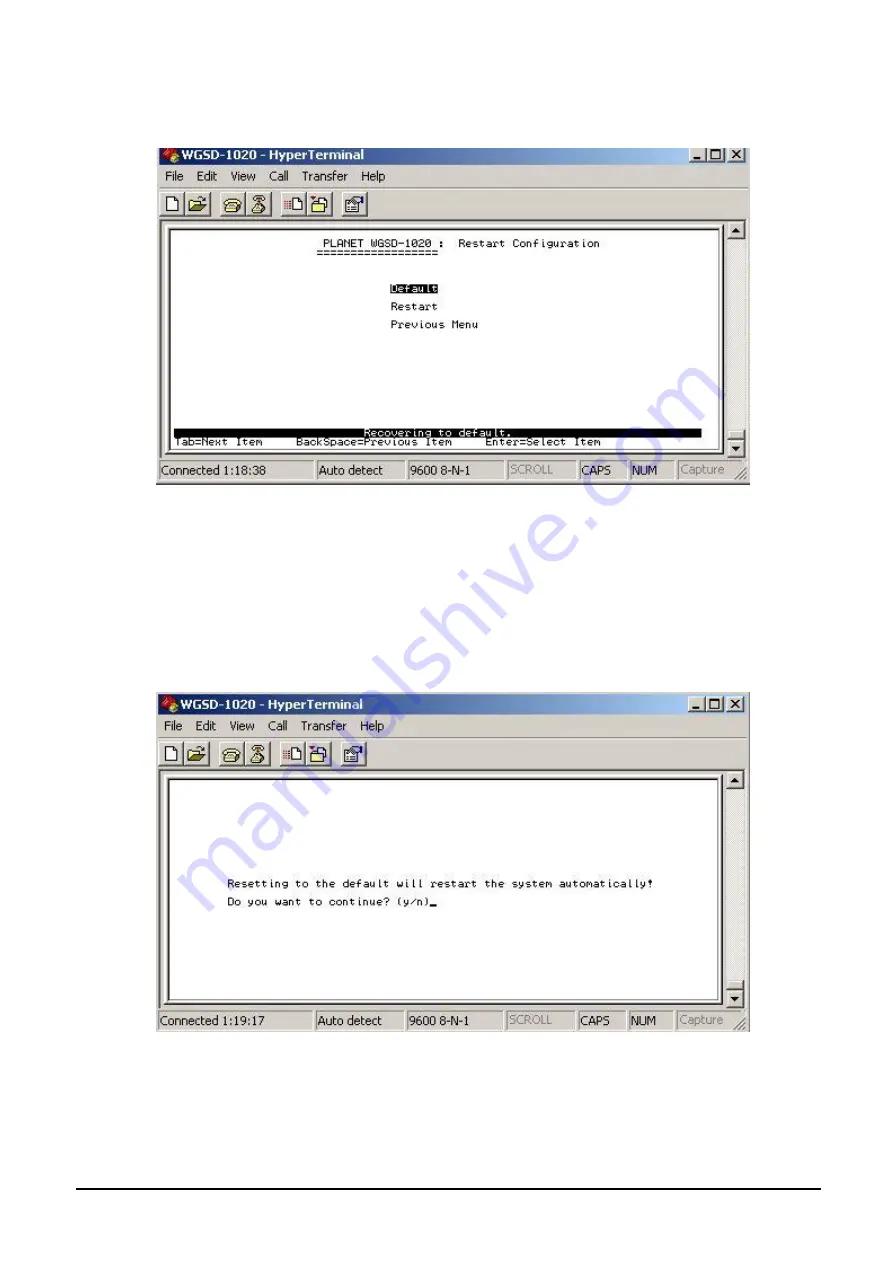 Planet WGSD-1020 User Manual Download Page 48