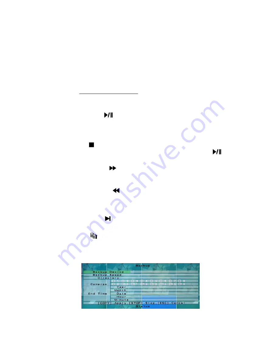 Platinum CCTV DVR-26416S User Manual Download Page 61