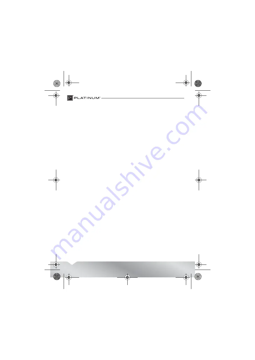 Platinum PT-P65ML User Manual Download Page 4