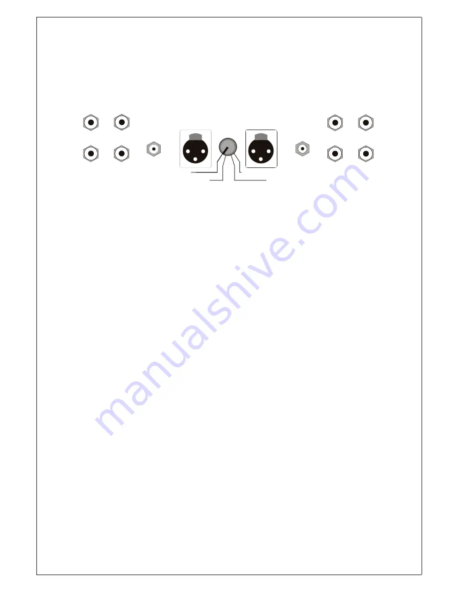 Plinius SA-100 Series Instruction Manual Download Page 13