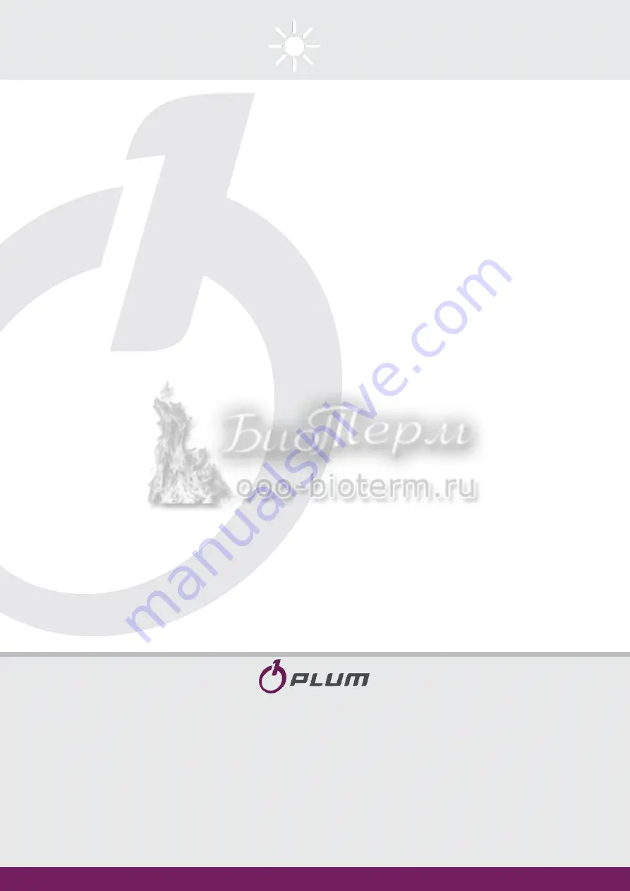 Plum ecoMAX850P1-V Manual Download Page 42