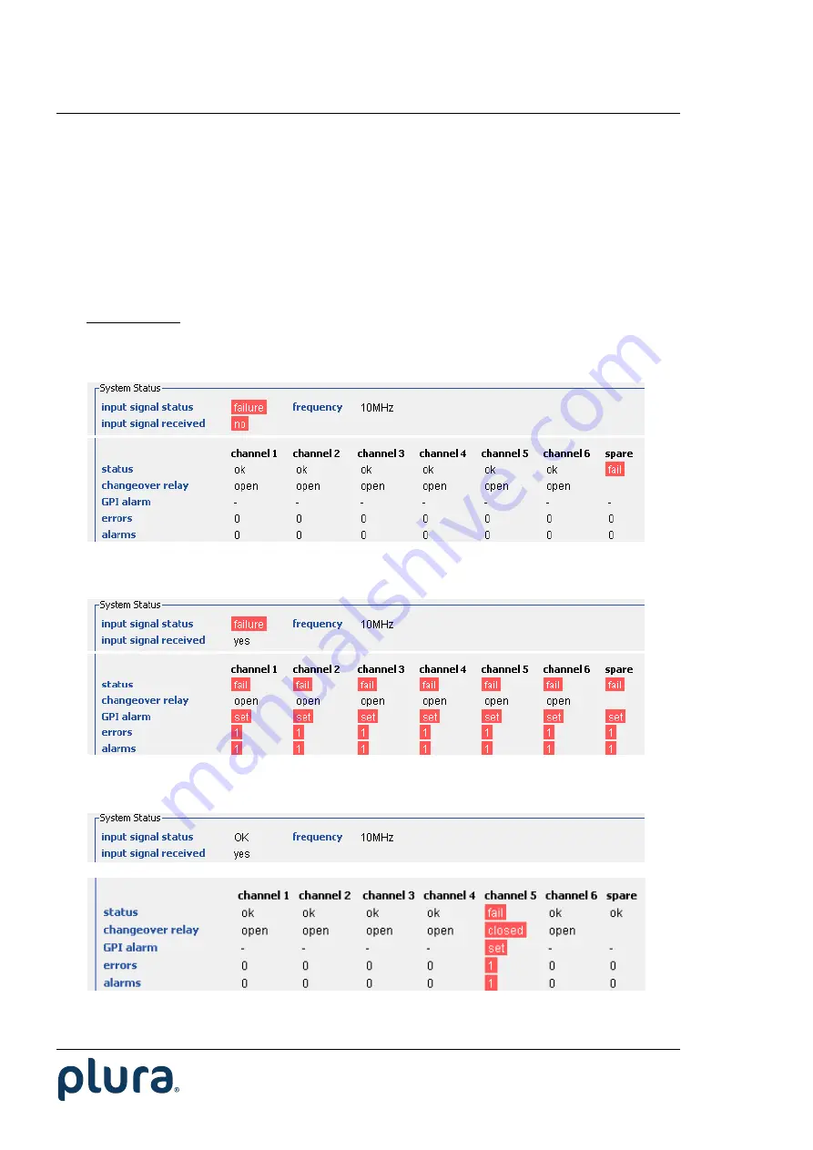 Plura RUB VM Functional Description And Specifications Download Page 12