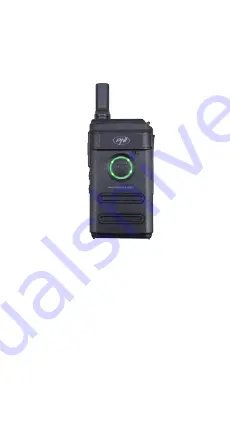 PNI PMR R10 PRO Скачать руководство пользователя страница 1