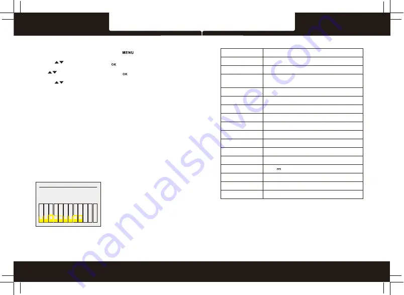 Polaroid C207 User Manual Download Page 22