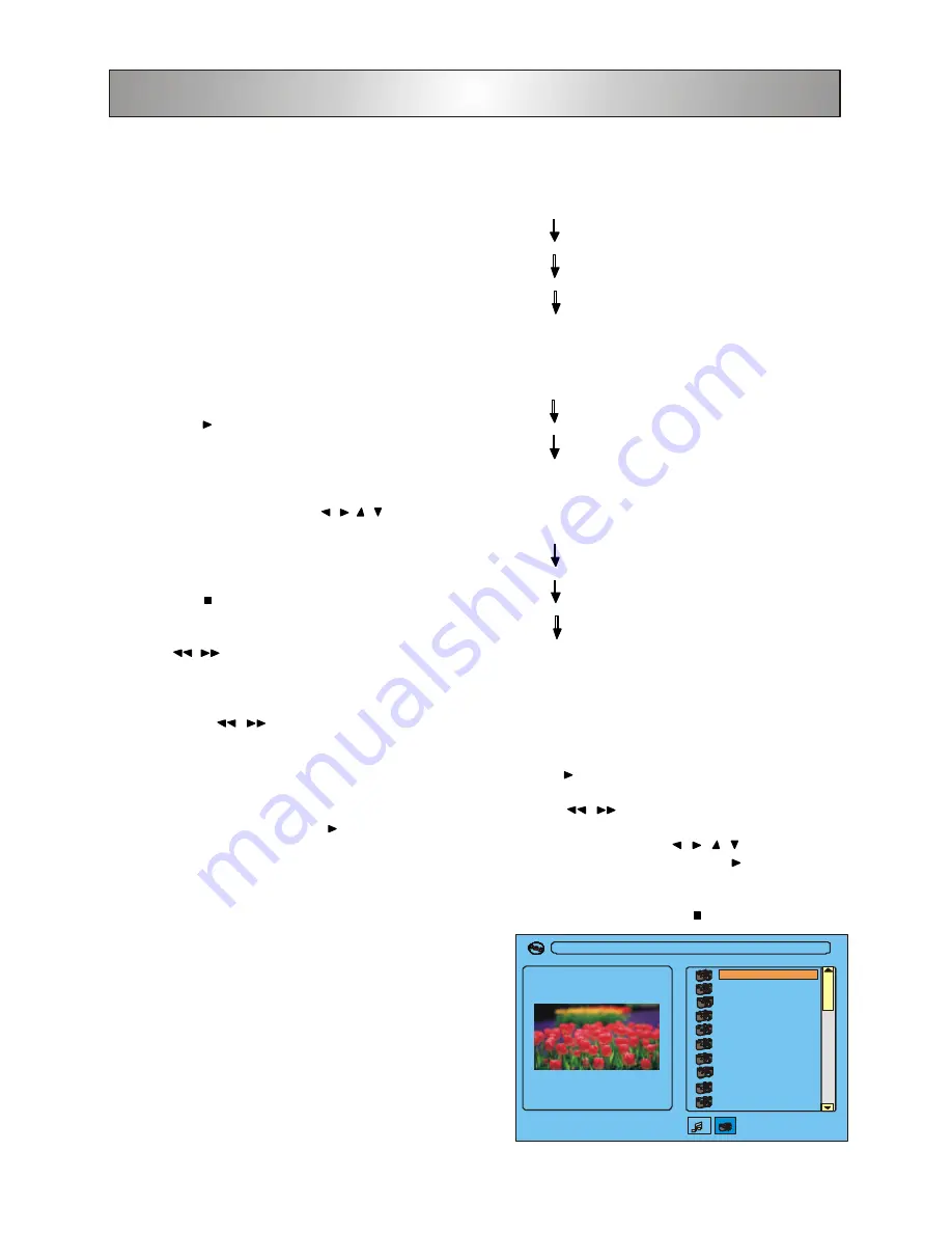 Polaroid DHX-202 User Manual Download Page 14