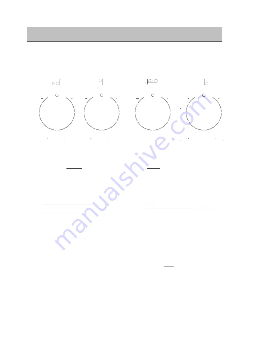 Porter & Charles 174973 User Manual Download Page 12