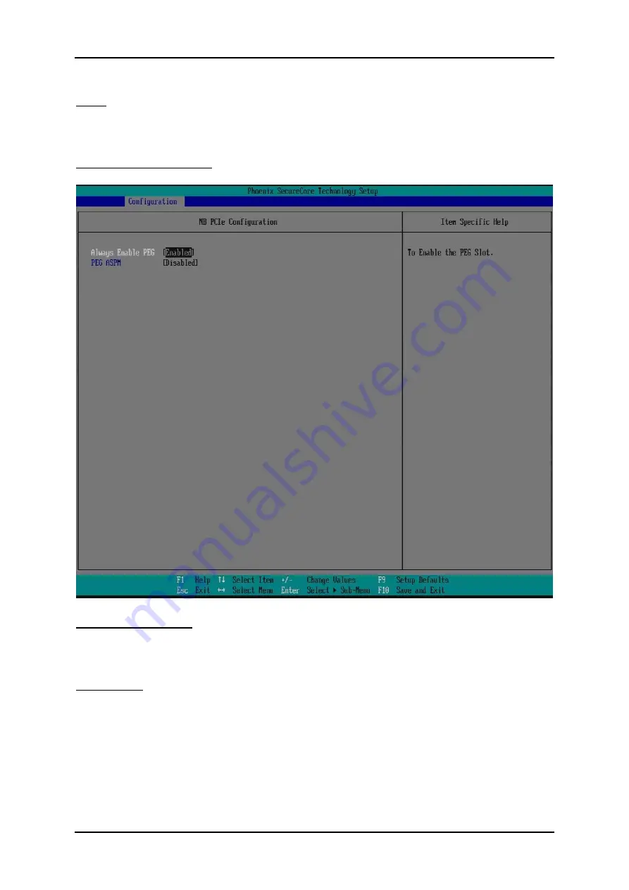 Portwell RUBY-D716VG2AR User Manual Download Page 59