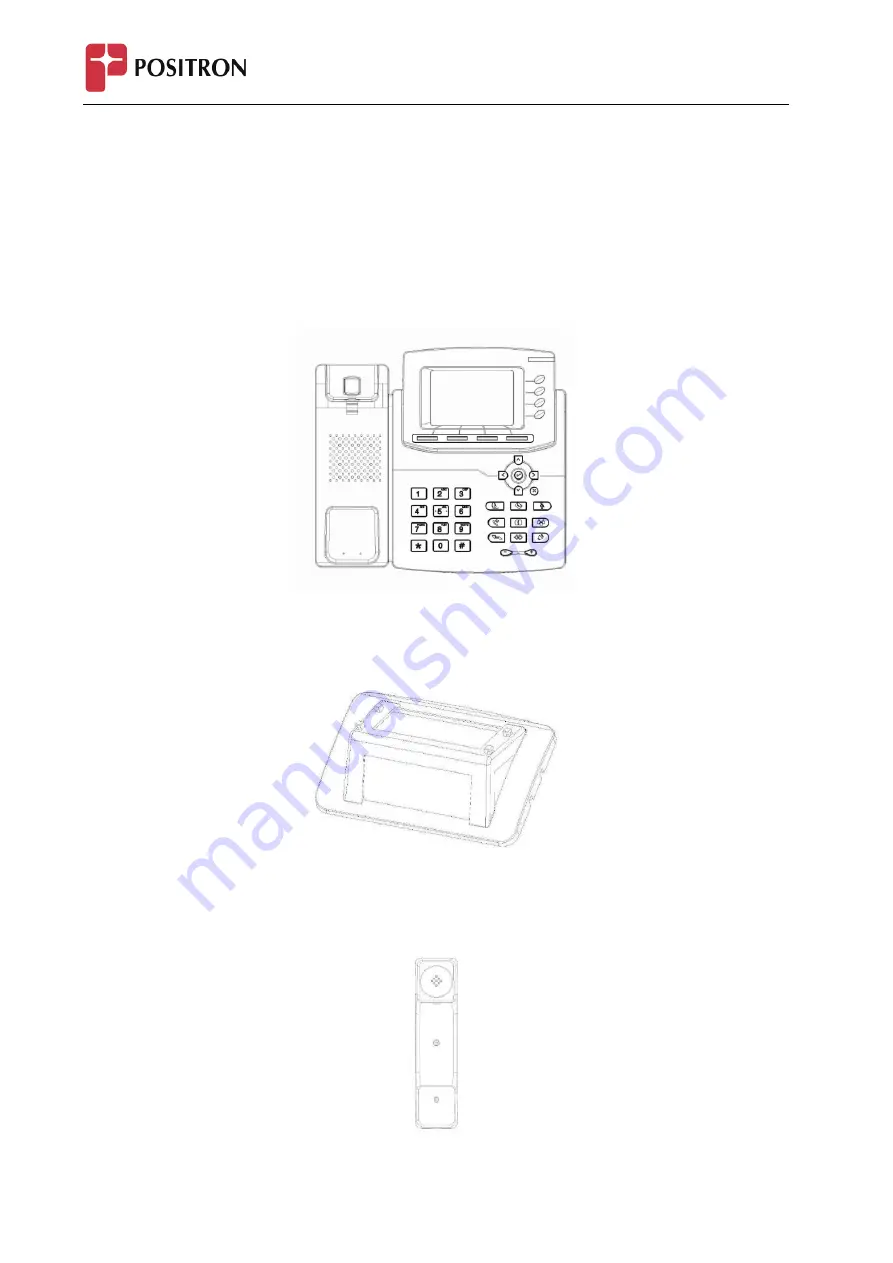 Positron IP304C User Manual Download Page 6