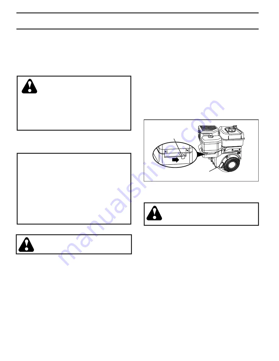 Poulan Pro 401423 Скачать руководство пользователя страница 10