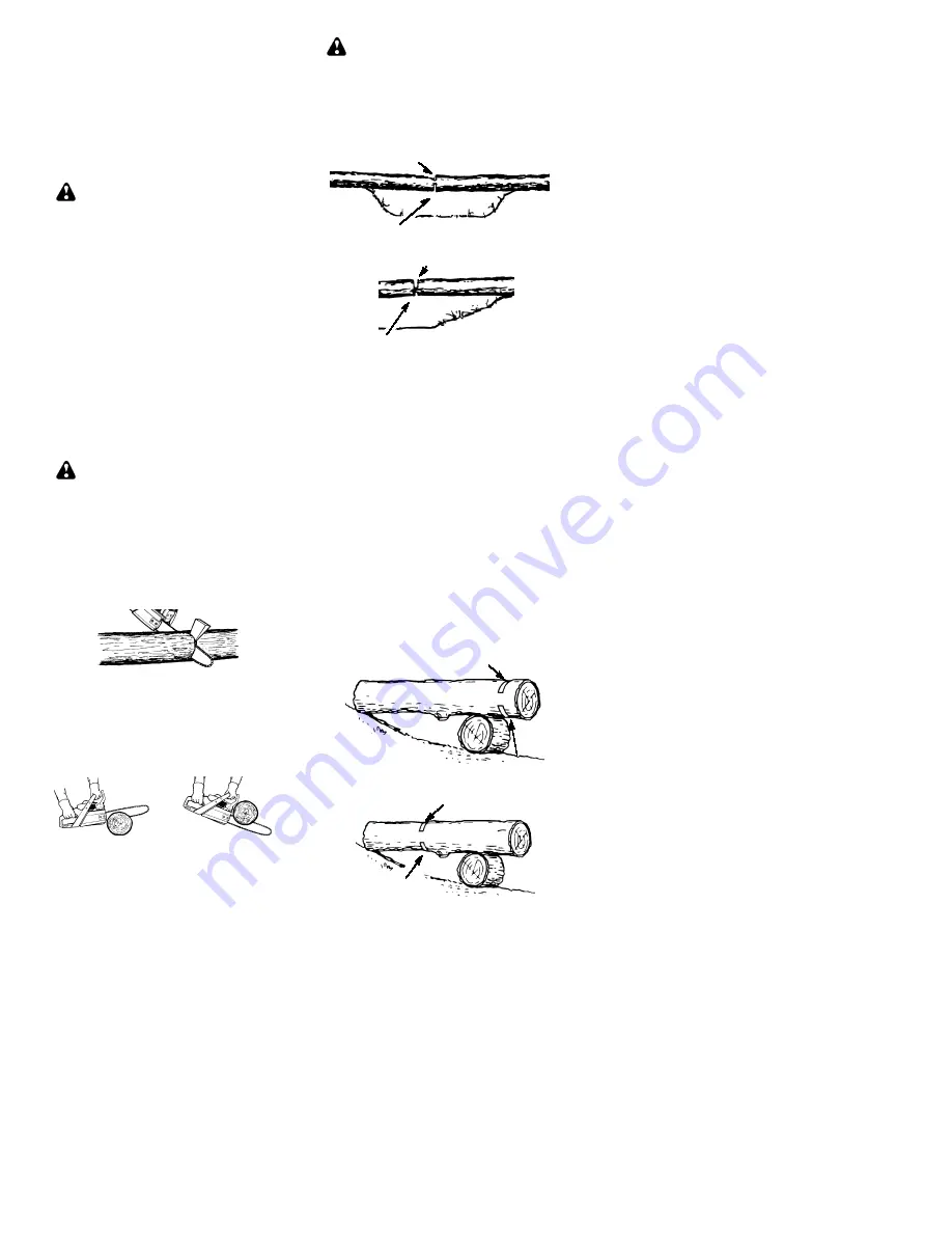 Poulan Pro 530163636 Скачать руководство пользователя страница 12