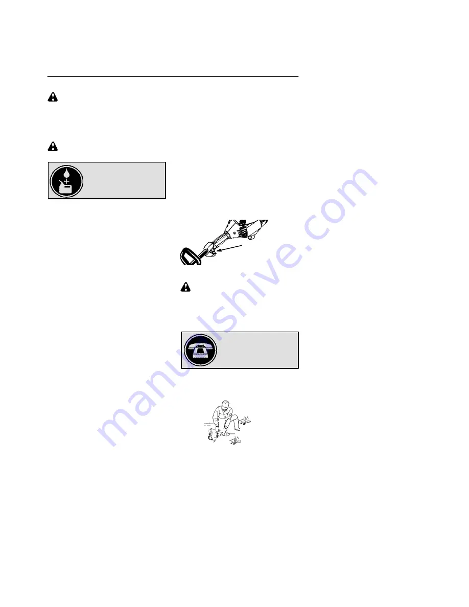 Poulan Pro 530165221 Скачать руководство пользователя страница 10