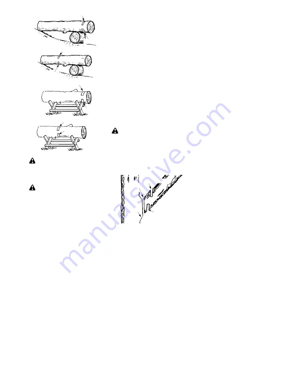 Poulan Pro 545047503 Скачать руководство пользователя страница 13