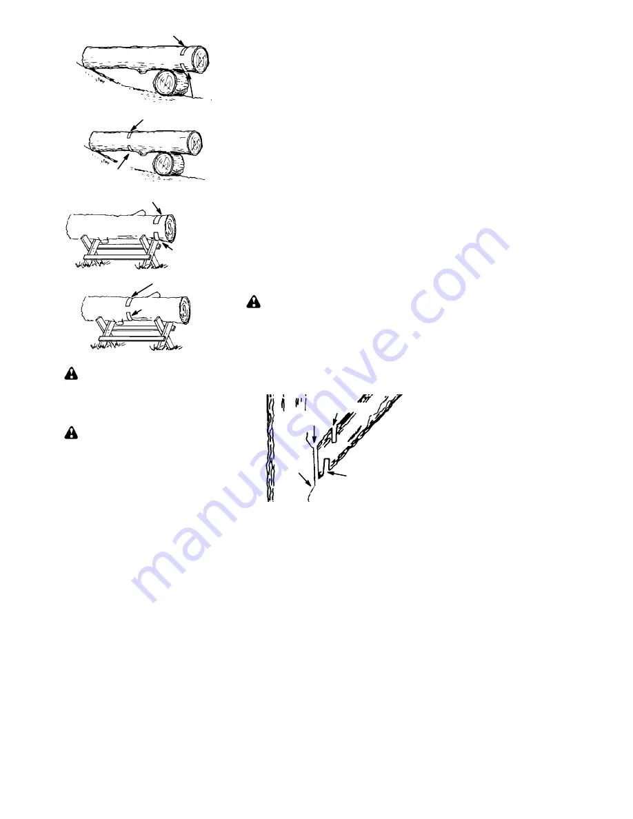 Poulan Pro 545137246 Instruction Manual Download Page 13