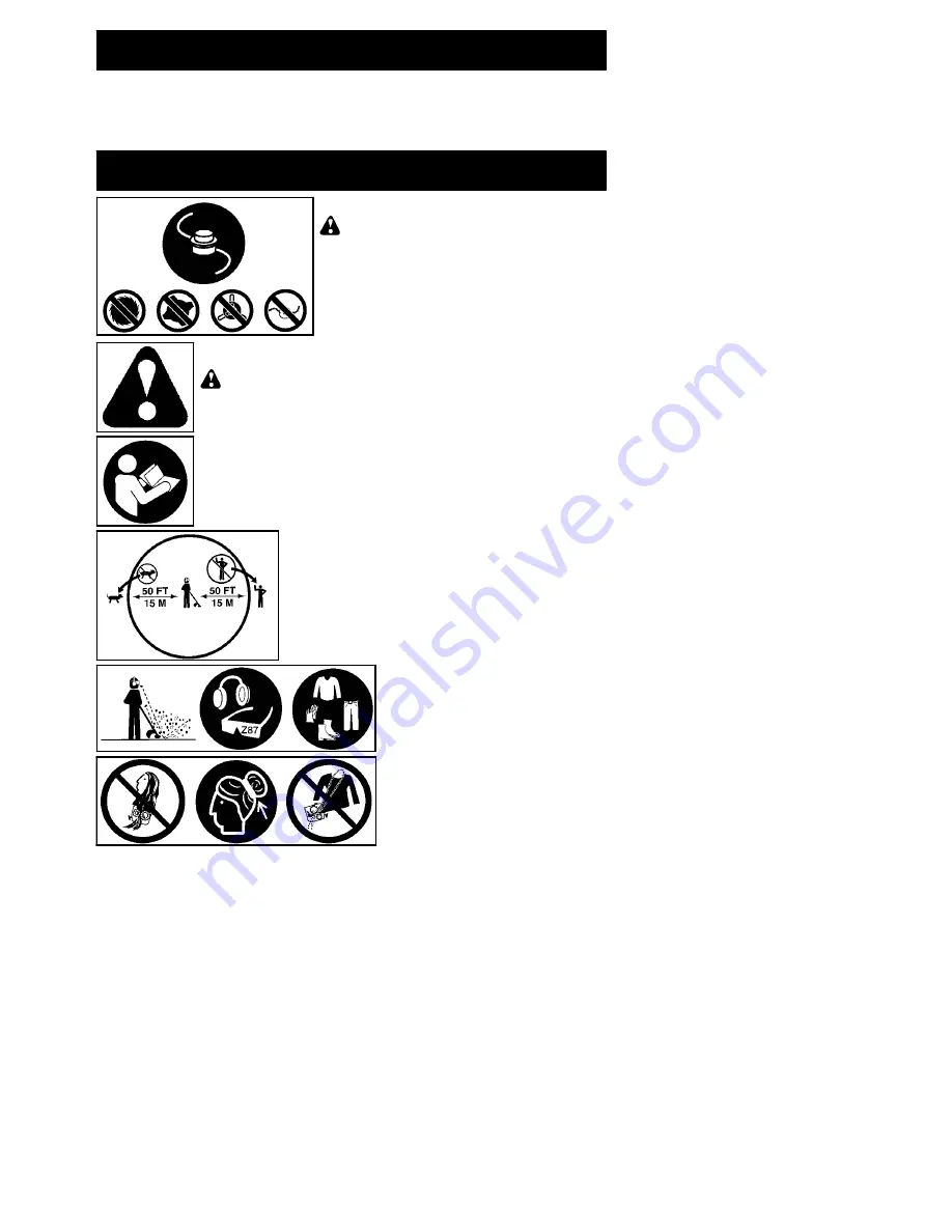 Poulan Pro 545186897 Скачать руководство пользователя страница 2