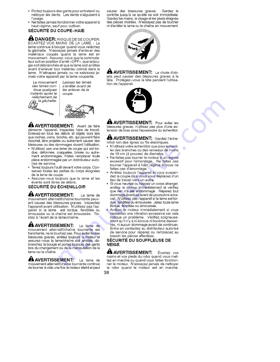 Poulan Pro PP036 Instruction Manual Download Page 39