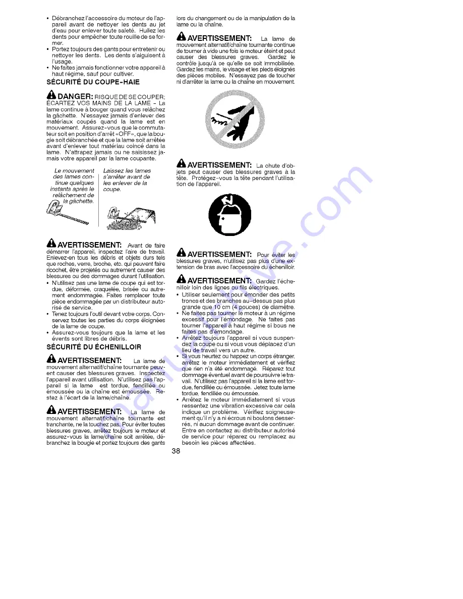 Poulan Pro PPB250E Instruction Manual Download Page 38