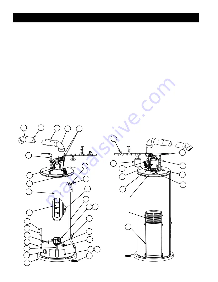 PowerFlex POWER VENTED GAS Models Скачать руководство пользователя страница 9