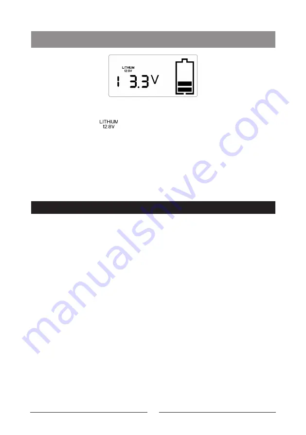 PowerTech MB3906 User Manual Download Page 17