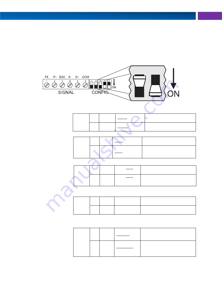 PRECISION DIGITAL Helios PD2-6100 Instruction Manual Download Page 13