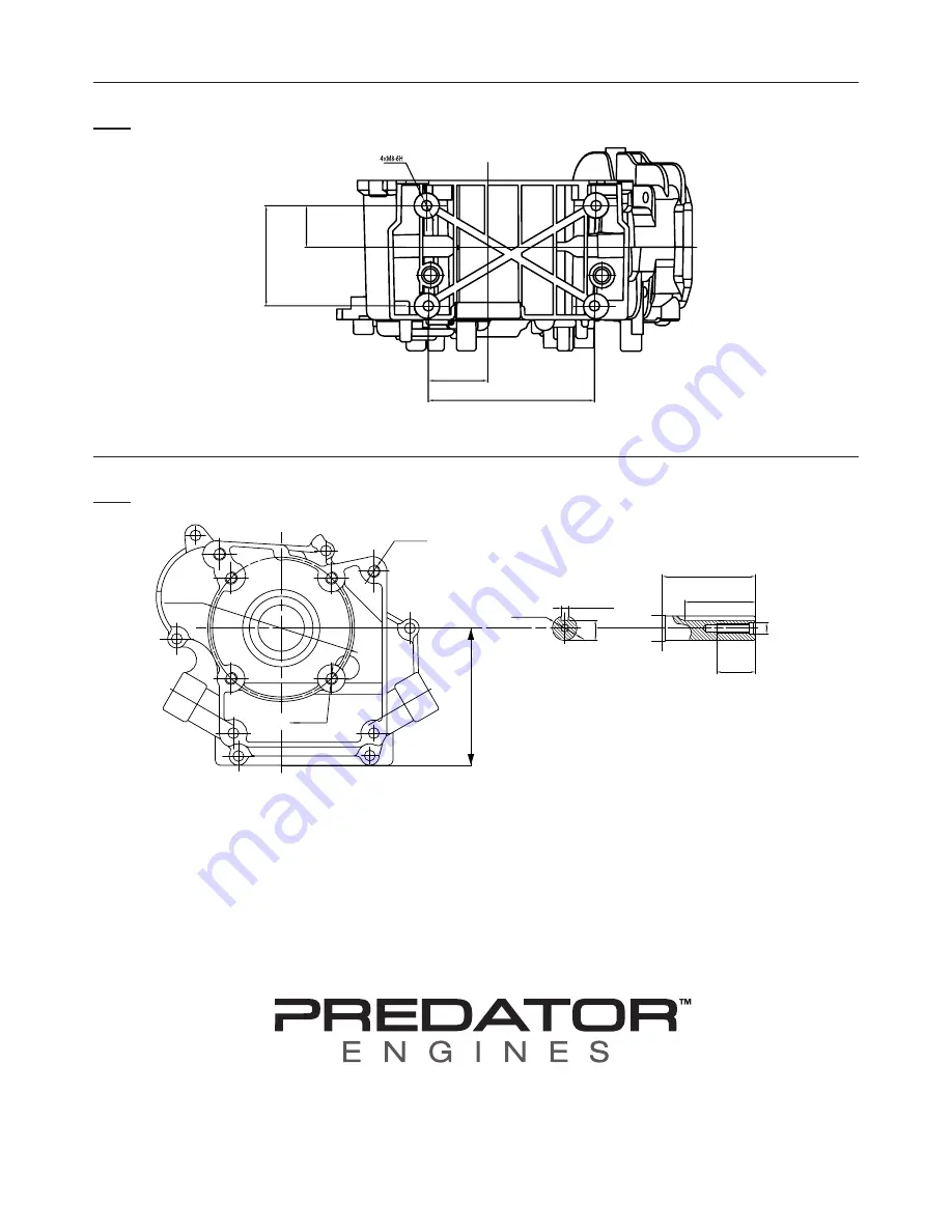 Predator Engines 69733 Owner'S Manual & Safety Instructions Download Page 20