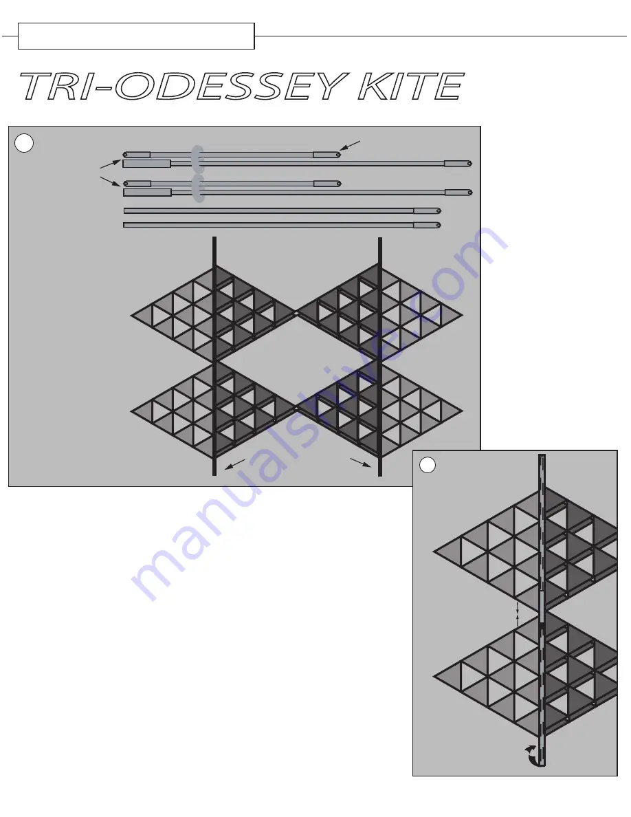 Premier Kites Tri-Odessey Assembly Instructions Download Page 1