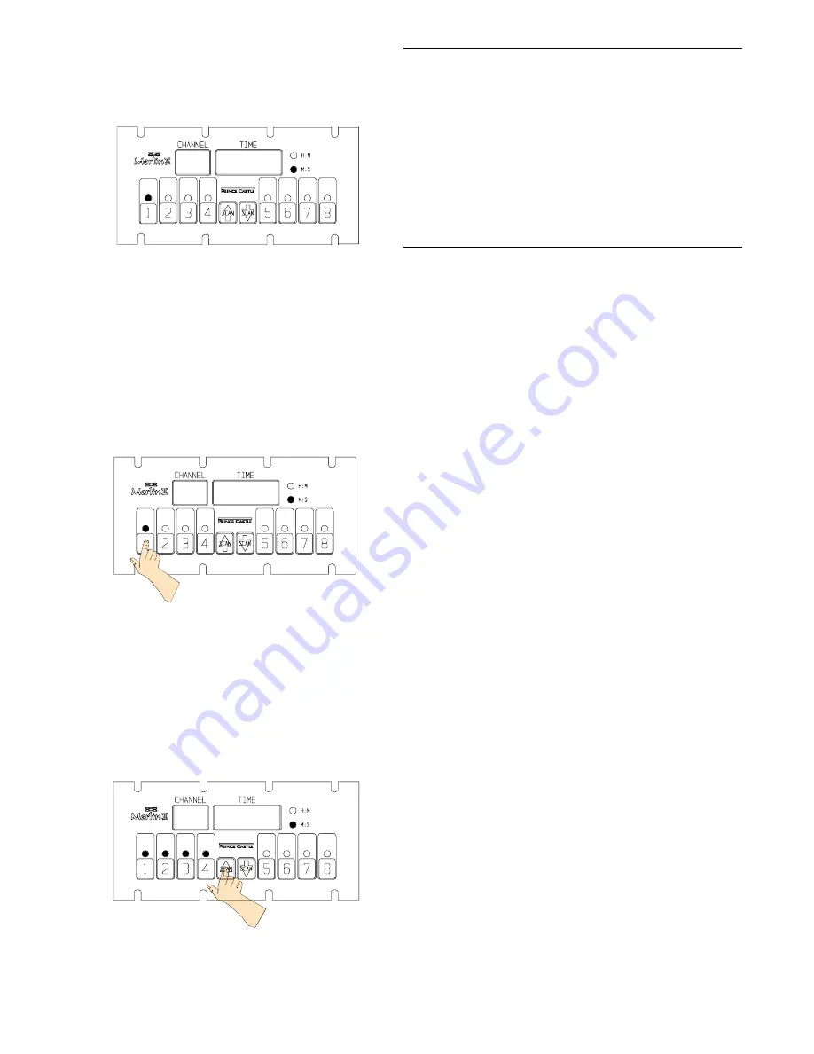 Prince Castle Merlin II 740-T Series Скачать руководство пользователя страница 4