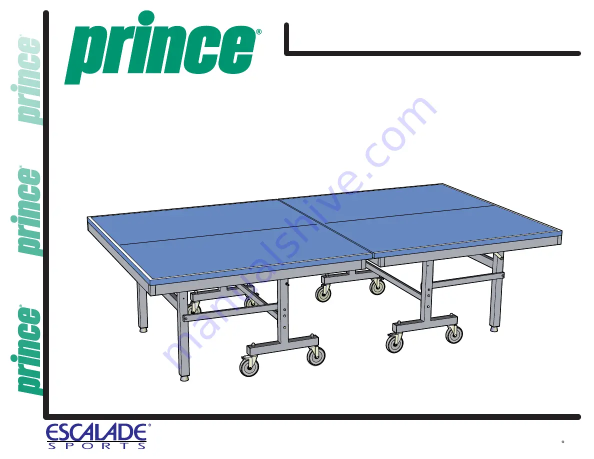 Prince PT2010 Скачать руководство пользователя страница 1