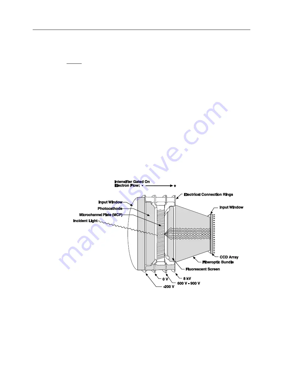 Princeton Instruments PI-MAX 3 System Manual Download Page 12