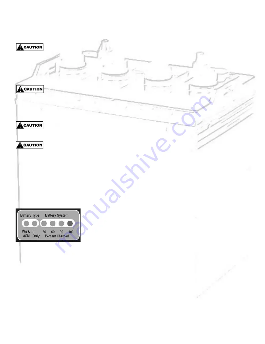 Pro Charging Systems 2425LITH Скачать руководство пользователя страница 6