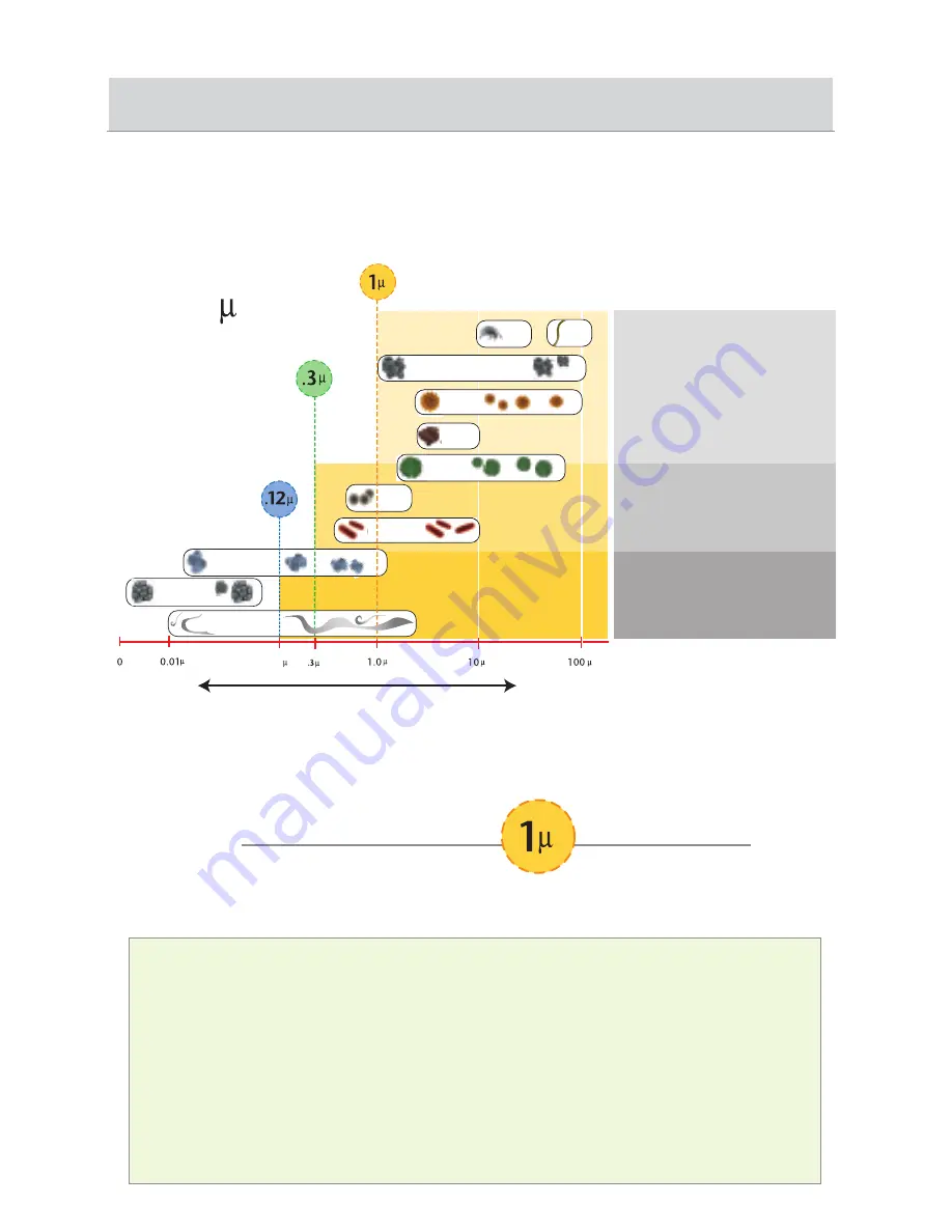 Pro-Team LineVacer HEPA User Manual Download Page 8