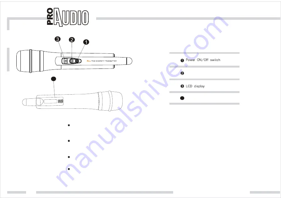 ProAudio Pw100 Series User Manual Download Page 5