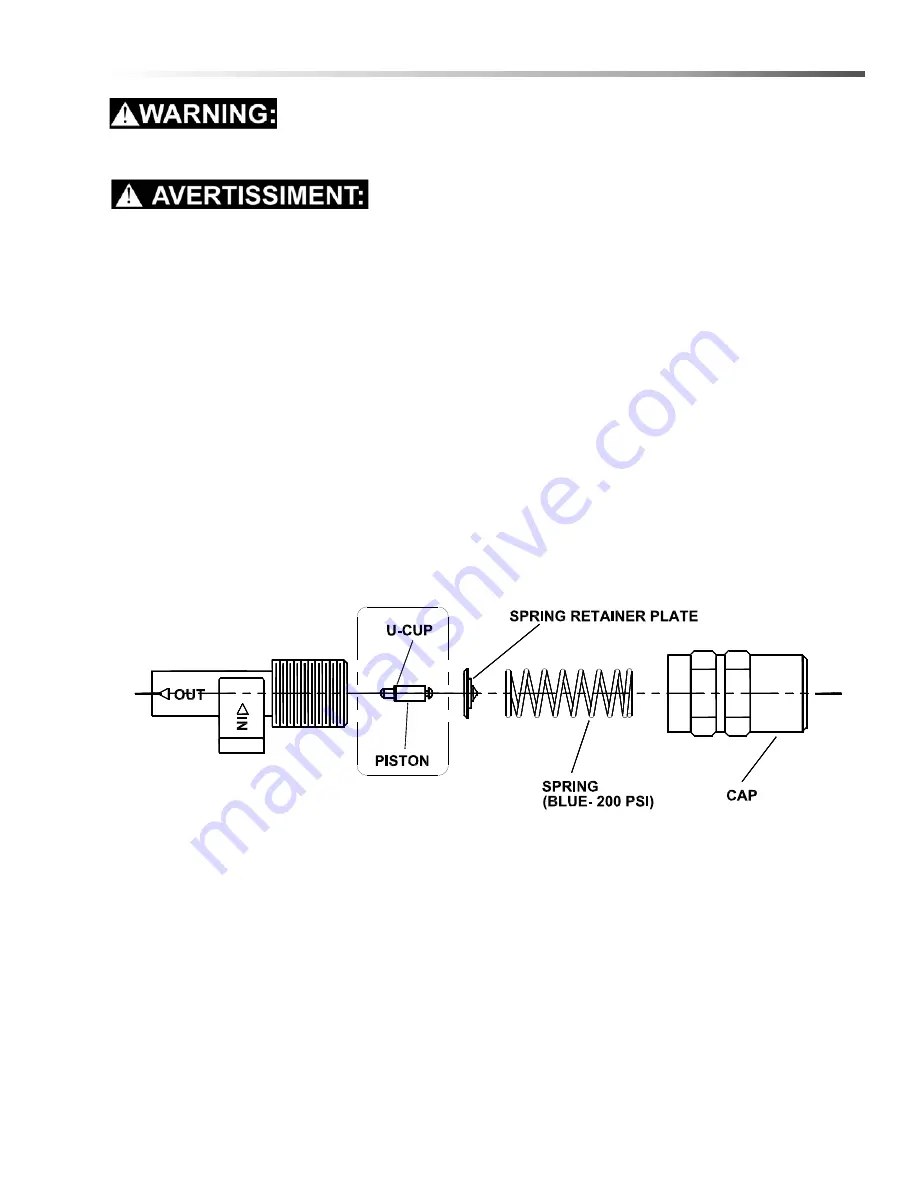 Prochem Ninja Warrior 200 PSI 10070650 Operating Instructions Manual Download Page 19