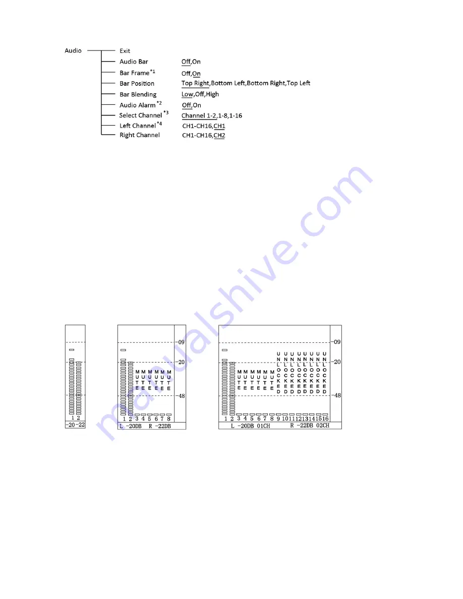 ProHD DT-X7HUx2 User Manual Download Page 13