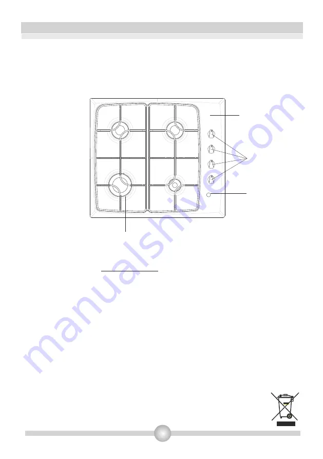 Proline PGH4SS-B Operating And Installation Instructions Download Page 4