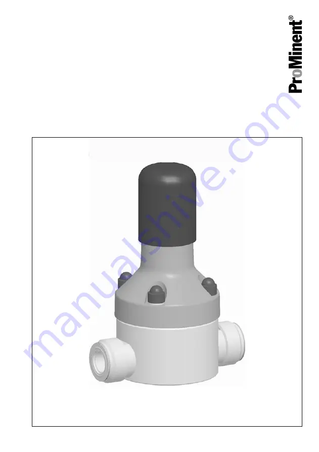 ProMinent DHV-U DN10 Скачать руководство пользователя страница 5