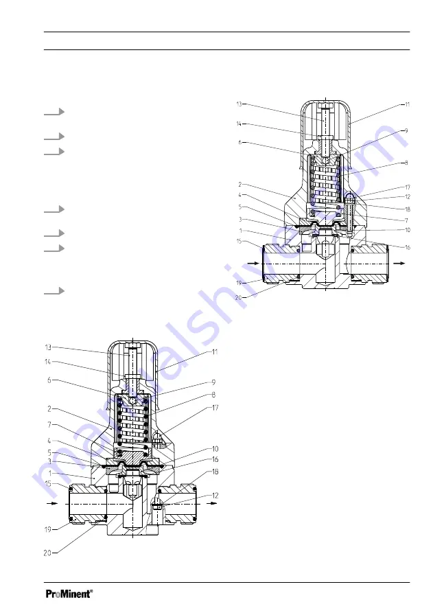 ProMinent DHV-U DN10 Operating Instructions Manual Download Page 21