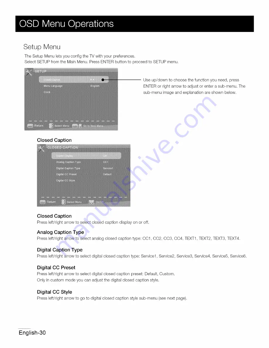 ProScan 32LD30Q User Manual Download Page 31