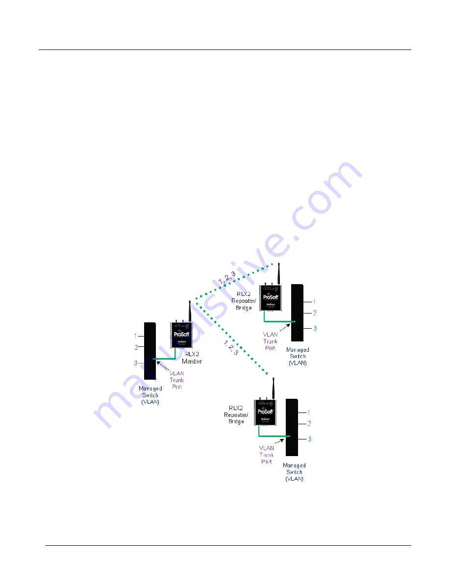 ProSoft Technology RadioLinx RLX2-IHA Скачать руководство пользователя страница 206