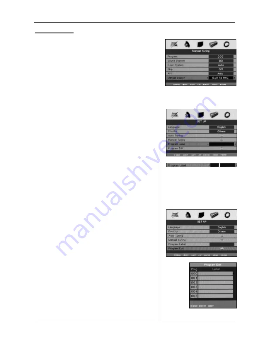 Prosonic DFT-2615 Скачать руководство пользователя страница 12