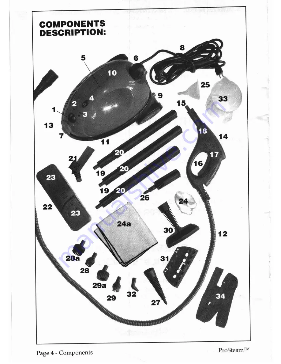 ProSteam 52167 Use & Instruction Manual Download Page 4