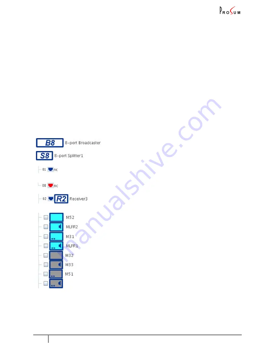 ProSum DSNet User Manual Download Page 13