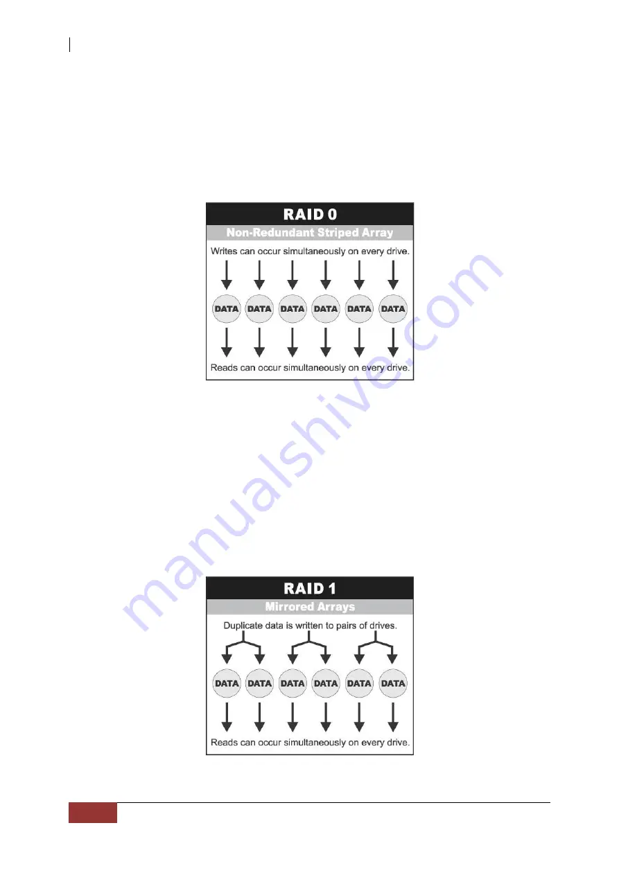 Proware SAS 12G Hardware Manual Download Page 8