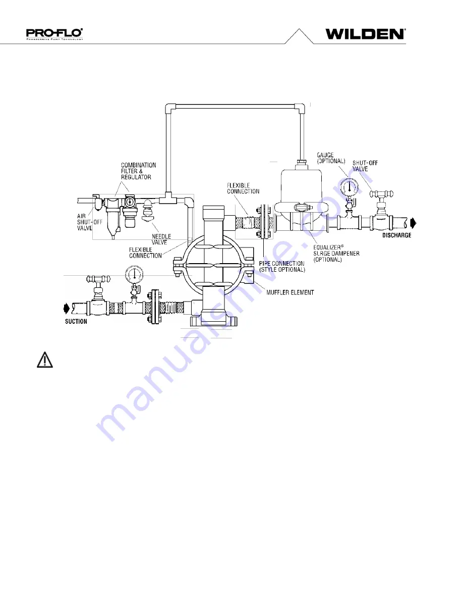 PSG Dover WILDEN PRO-FLO P.025 Engineering, Operation & Maintenance Download Page 12