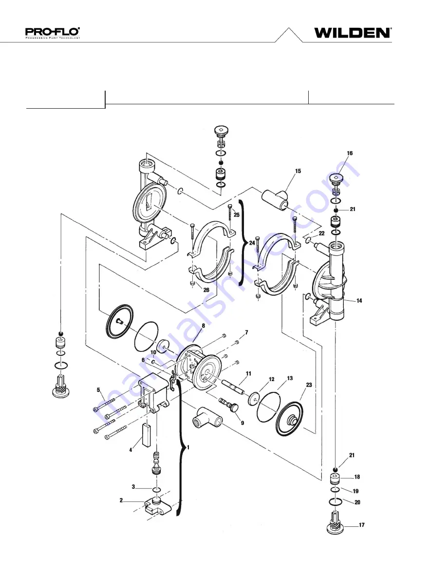 PSG Dover WILDEN PRO-FLO P.025 Engineering, Operation & Maintenance Download Page 22