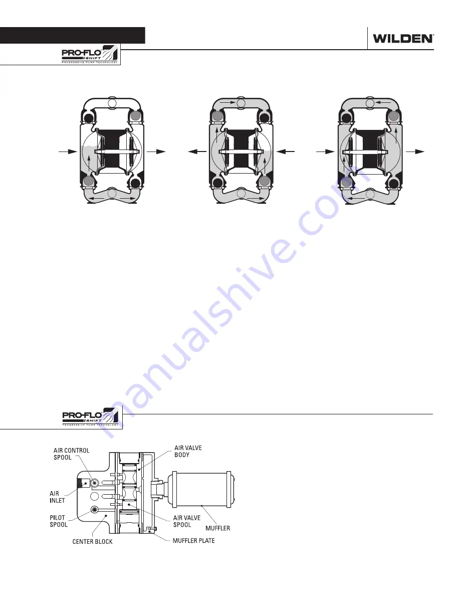 PSG Wilden PS220 Series Engineering, Operation & Maintenance Download Page 5