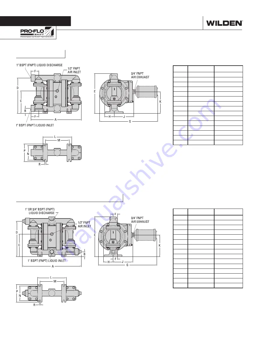 PSG Wilden PS220 Series Engineering, Operation & Maintenance Download Page 6