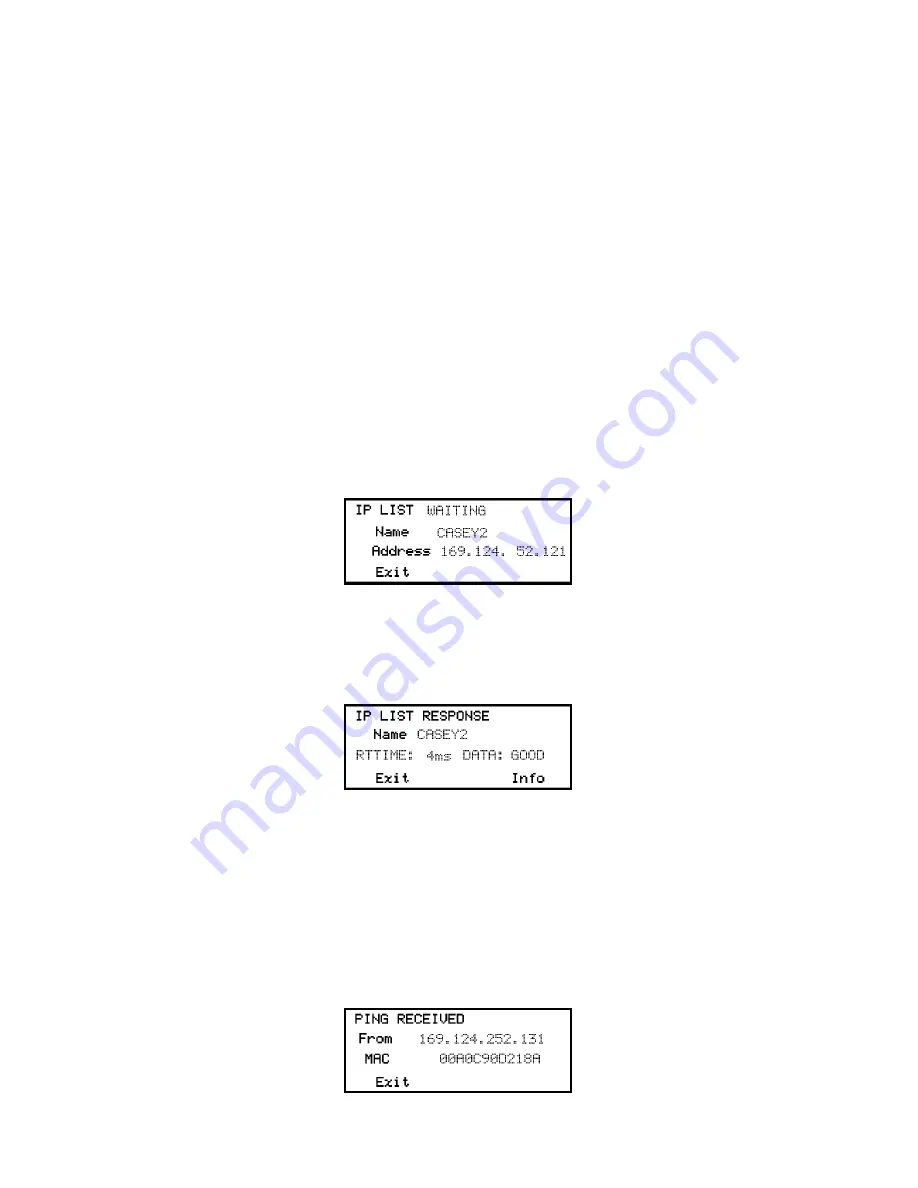 Psiber Data Systems NETWORK IP TESTER Скачать руководство пользователя страница 4