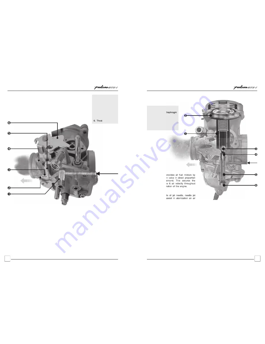 Pulsar DTS-i 180 UG III Training Manual Download Page 23