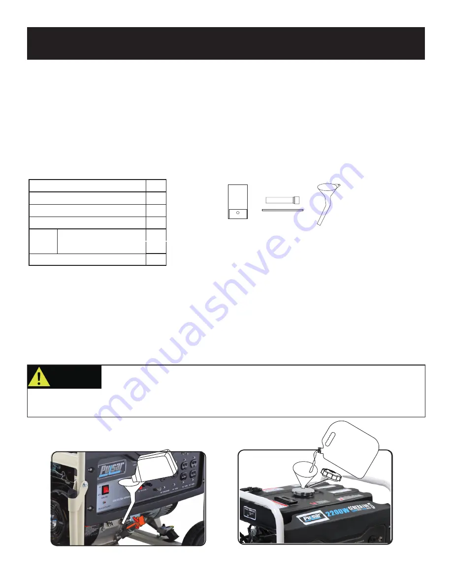 Pulsar PG2200 Operator'S Manual Download Page 9