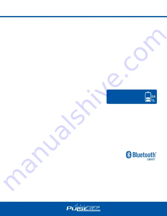 PulseTec EXCEL 200 QUAD Instruction Manual Download Page 6